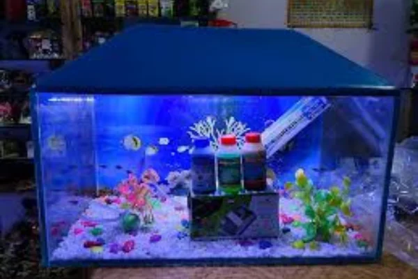 Image of: Mansoor Aquarium World in Chettikulam Nagercoil