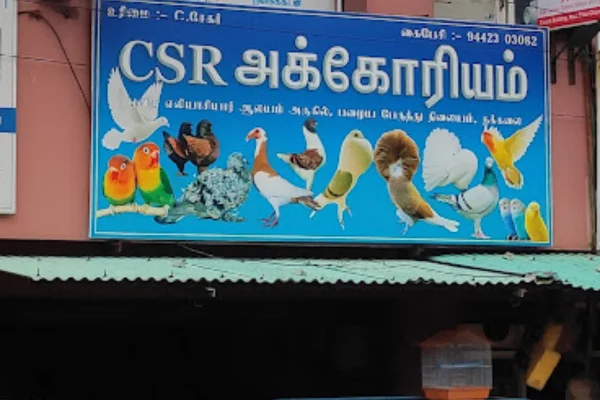 Image of: Pets Rabbit Farm in Pacode Tamil Nadu