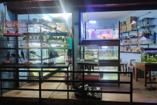 Image of: JNS HUB Pet Supplies in Parakkunru Tamil Nadu