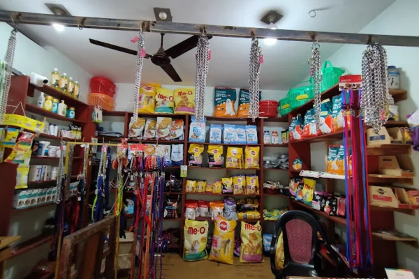 Image of: LV Cattle Feed in Nadan Kanyakumari