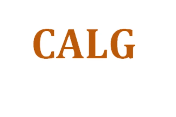 Image of: CALG Consultancy Private Limited in Panavilai