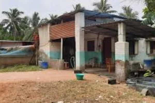 Image of: JJ Aquarium Fish Shop in Manakudy