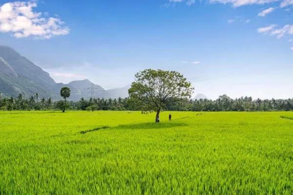 Image of: Kollenkode Kannanagam Tourist Spot