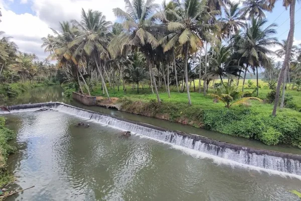 Image of: Aakkatti Kulam Tourist Place in Kuzhicode