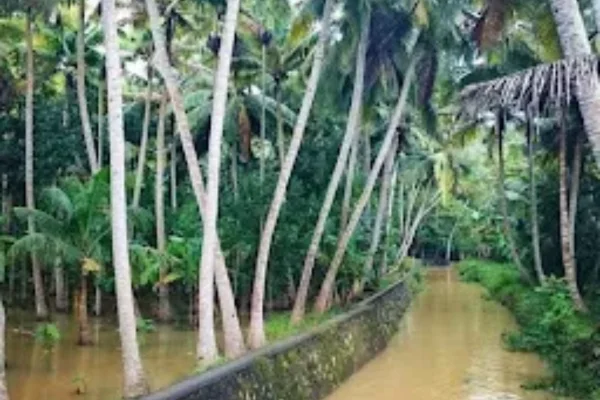 Image of: Aayini kulam Varuvilai Tourist Spot in Tamil Nadu