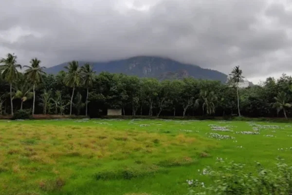 Image of: Kotticode Pond Kumarapuram Tamil Nadu