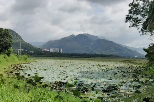 Image of: Pranthaneri Kulam Tourist Spot in Alur