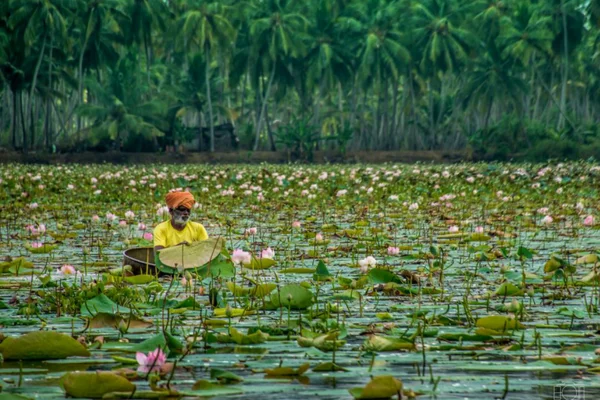 Image of: Peyottankulam Tourist Spot in Perumselvavilai