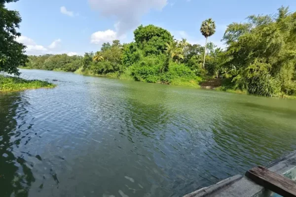 Image of: Athencode Tamirabarani River View in Kunnathoor