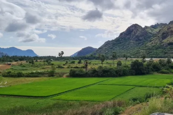 Image of: Nagercoil Wind Farm Tourist Place in Tamil Nadu