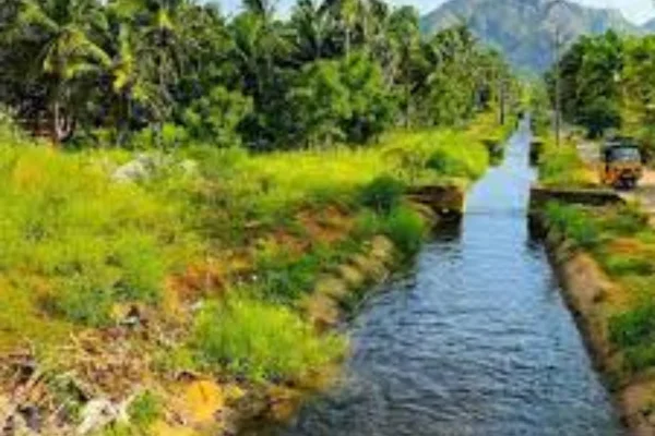 Image of: Arumukam Kulam Tourist Spot in Chunkankadai