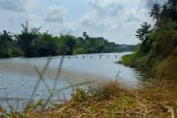 Image of: Thamarabarani River View Tourist Spot in Pacode Tamil Nadu