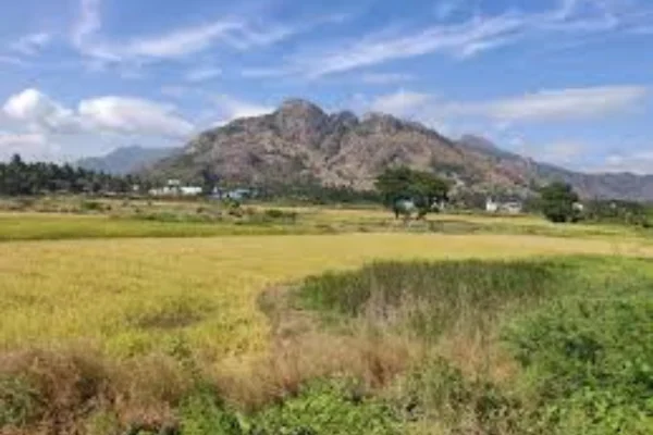 Image of: Kumarapuram Junction View Point in Tamil Nadu