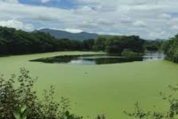 Image of: Ax Lake Tourist Attraction Dharmapuram Tamil Nadu