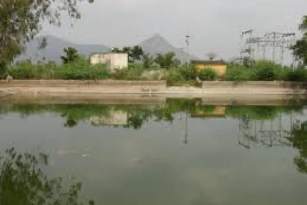 Image of: Nadu Kulam Tourist Place in Panavilai  Tamil Nadu