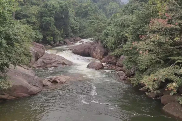 Image of: KUMARI ARUVI KADAIYAL