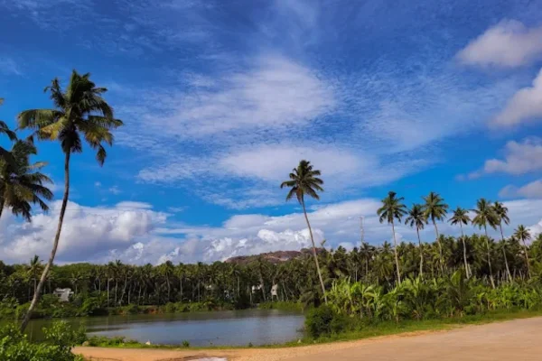Image of: Nattalam New Pond Tourist Spot in Tamil Nadu