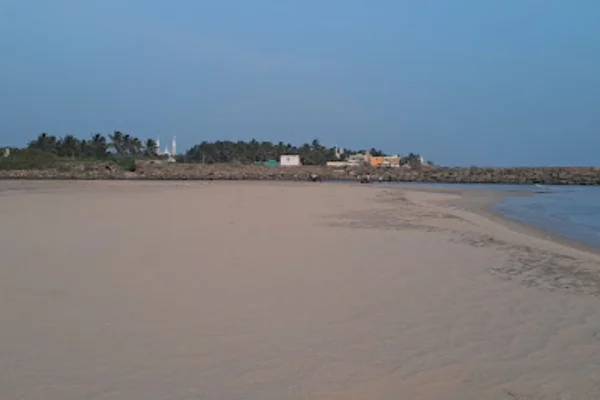 Image of: Manakudy Backwater Beach in Tamil Nadu Tourist Spot