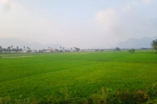 Image of: Coco Grove Tourist Spot in Kamala Nagar Theroor