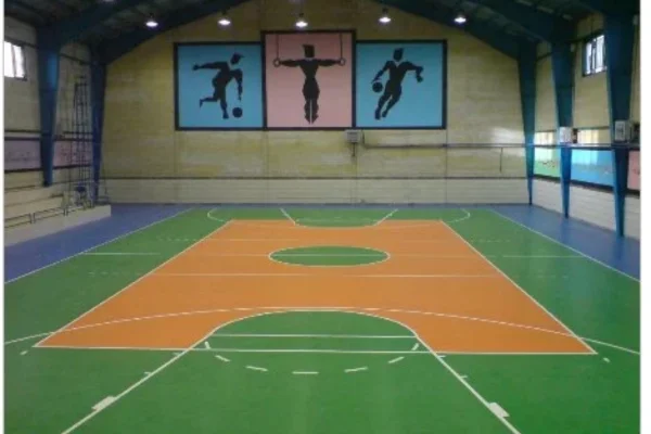 Image of: Multi Purpose Indoor Stadium in Tirunelveli