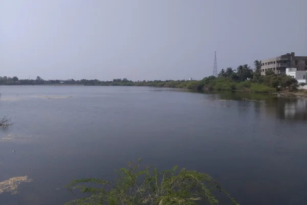 Image of: NGO Colony Water Pond Water Park in Tirunelveli