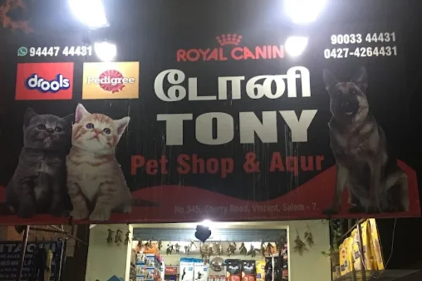 Image of: Tony Pet Shop Salem  Pet Store in Kumarasamipatti