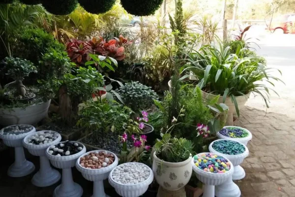 Image of: Joice Madona House