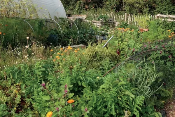 Image of: TRS Garden in Moolakaraipatti