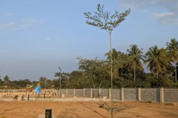 Image of: Win Associate Real Estate Kallikulam Land Brokers