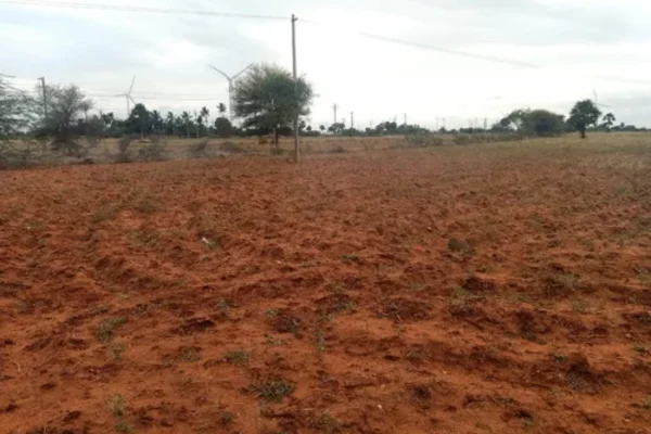 Image of: Queen Real Estate Tirunelveli  Land Brokers Services