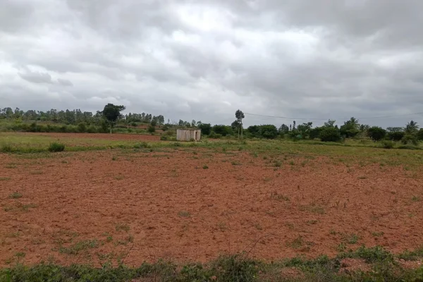 Image of: Aanisa Real Estate Land Brokers Tirunelveli