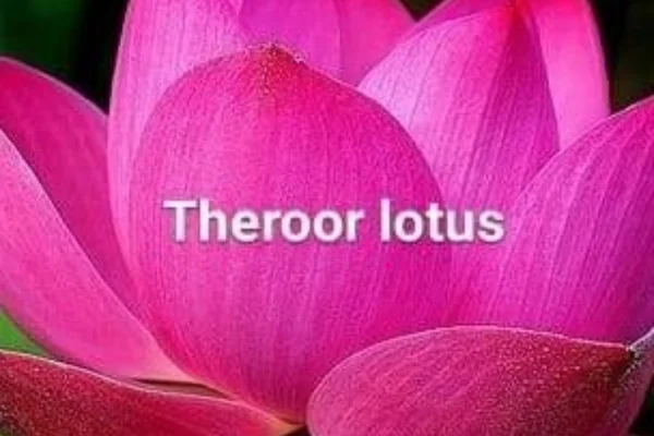 Image of: Theroor Lotus Real Estate Consultancy Theroor