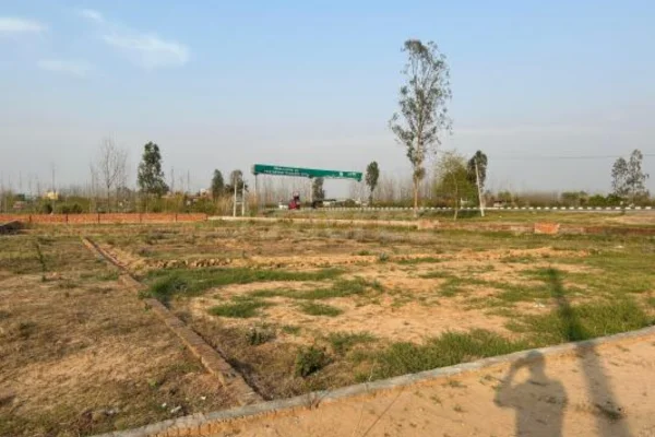 Image of: Viking Constructions in Eruvadi Tirunelveli