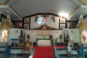 Image of: Our Lady of Good Health Church Tirunelveli Tamil Nadu