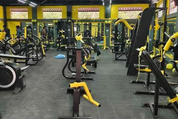 Image of: 313 Fitness Garage - Quality Fitness Training