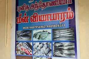 Image of: St Antony Fish Shop in Attoor Kalluppalam
