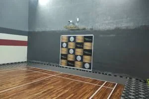Image of: Nagsons Badminton Academy in Nagercoil Sports Training