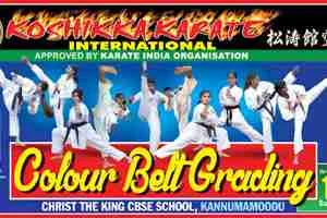 Image of: Koshikka Karate International in Pazhugal