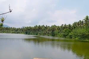 Image of: Pallichanvilai Lake Tourist Spot in Tamil Nadu