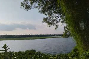 Image of: Parakai Lake Spot Tourist Destination in Nagercoil
