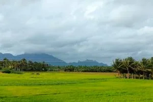 Image of: South Western Hills Tourist Spot in Nagercoil
