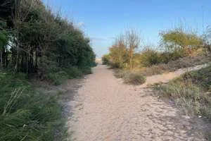 Image of: Kovalam Casuarina Tourist Spot in Kovalam