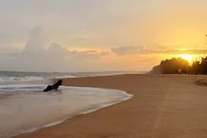 Image of: Blue Beach Tourist Spot in Rajakkamangalam