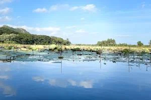 Image of: Veeranarayana Seri Pool Tourist Spot in Villukuri