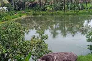 Image of: Kumbode Pond Tourist Spot in Thalakkulam Tamil Nadu