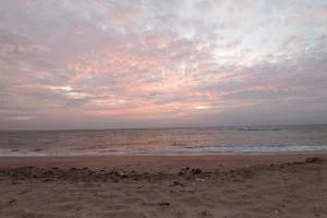 Image of: RASTHAKADU Temple Beach in Anjugramam Tamil Nadu