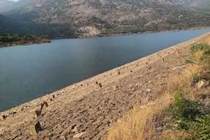 Image of: Poigai Dam Tourist Spot in Aralvaimozhi