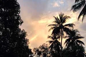 Image of: Canal Steps Scenic Spot in Maniyankuzi Tamil Nadu