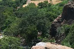 Image of: Water Falls Aruvi in Thirumulanagar Tamil Nadu