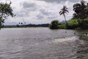 Image of: Chettikulam Tourist Place in Ramanathichenputhur